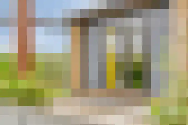 Dalkruid 27 a Nijverdal thumbnail 15