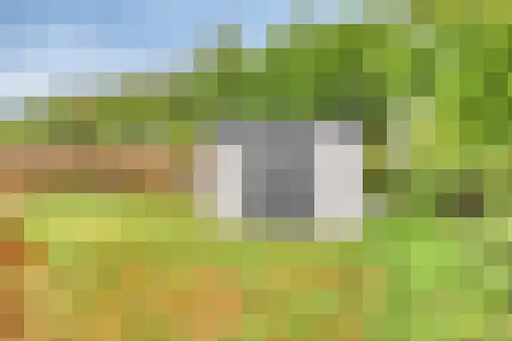 Dalkruid 27 a Nijverdal thumbnail 17