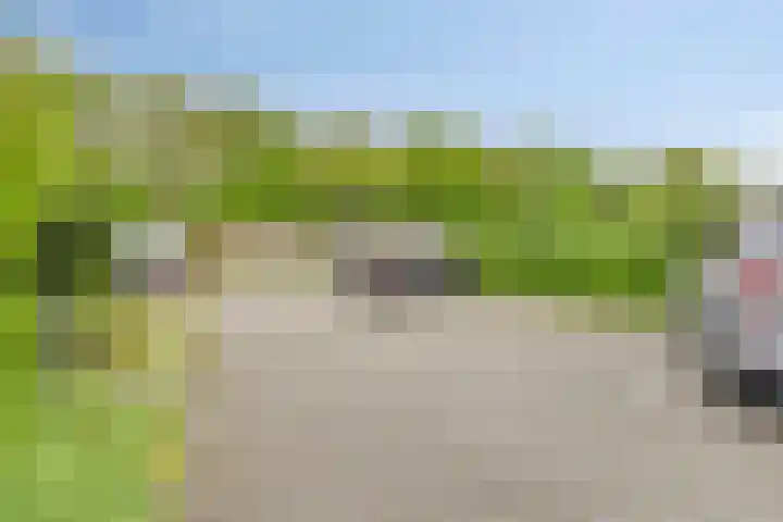 Dalkruid 27 a Nijverdal thumbnail 19