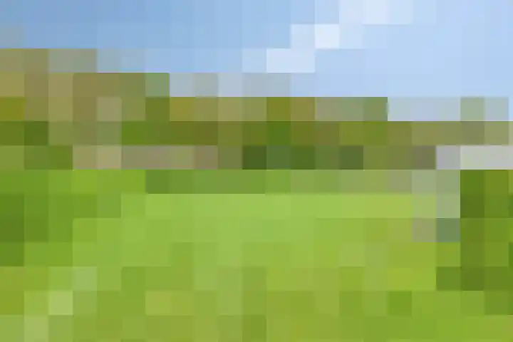 Dalkruid 27 a Nijverdal thumbnail 20