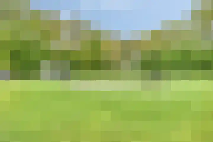 Dalkruid 27 a Nijverdal thumbnail 21