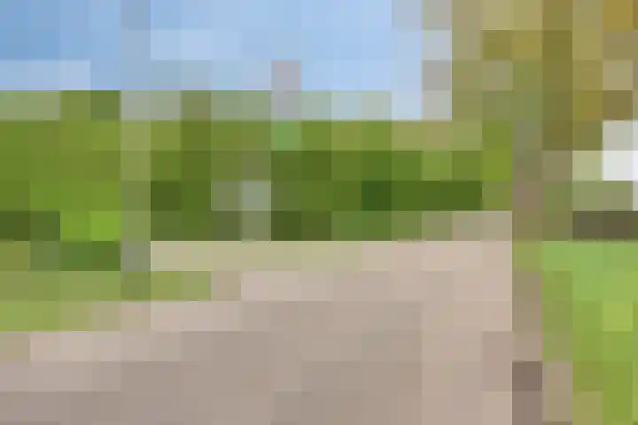 Dalkruid 27 a Nijverdal thumbnail 22