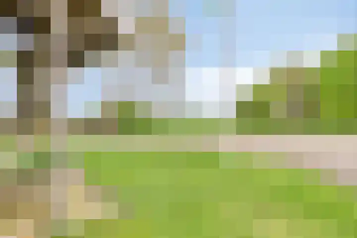 Dalkruid 27 a Nijverdal thumbnail 23