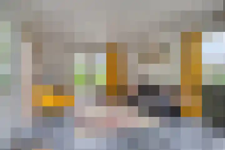 Dalkruid 27 a Nijverdal thumbnail 4