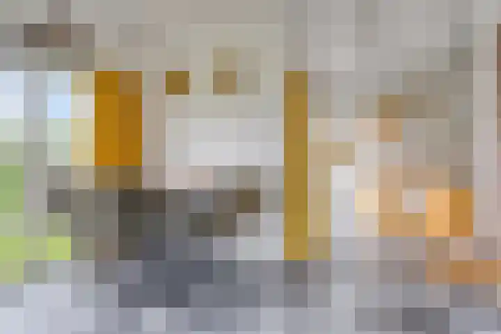 Dalkruid 27 a Nijverdal thumbnail 7