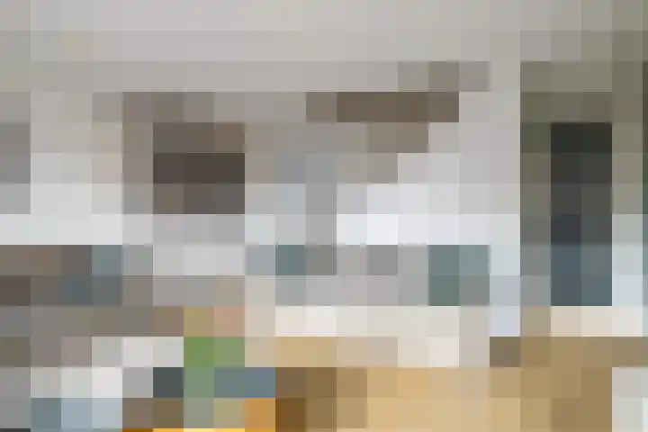 Dalkruid 34 Amersfoort thumbnail 13