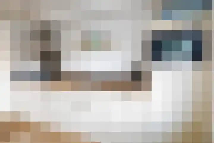 Dalkruid 34 Amersfoort thumbnail 17