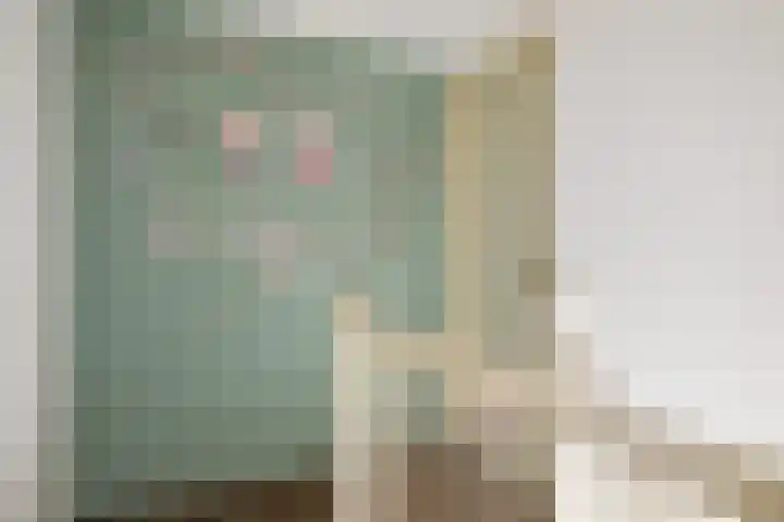 Dalkruid 34 Amersfoort thumbnail 20
