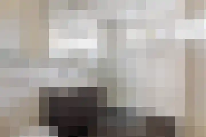 Dalkruid 34 Amersfoort thumbnail 29
