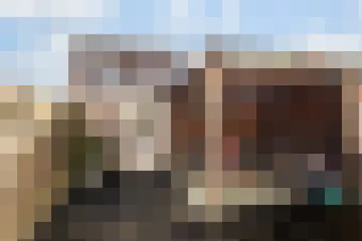 Dalkruid 34 Amersfoort thumbnail 39