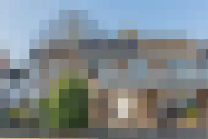 Dalkruid 34 Mierlo