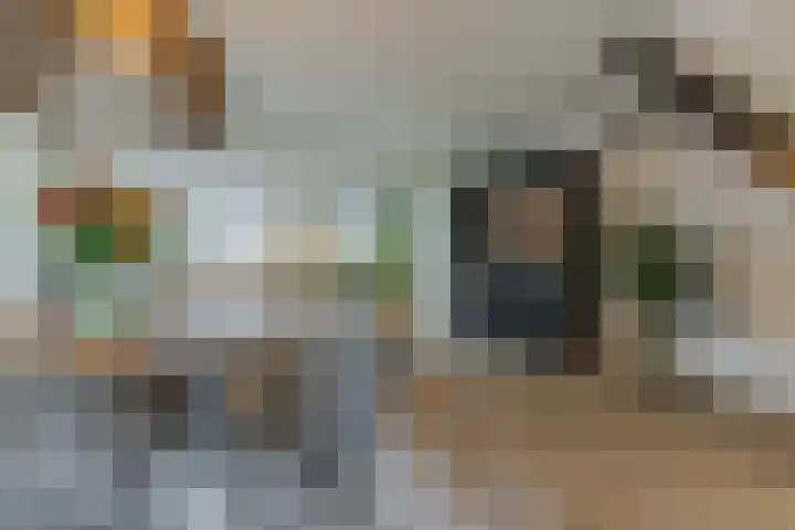 Dalkruid 34 Mierlo thumbnail 10