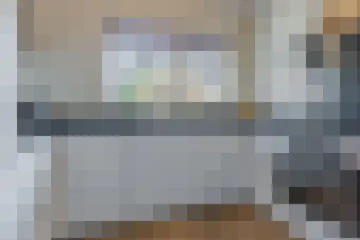 Dalkruid 34 Mierlo thumbnail 12