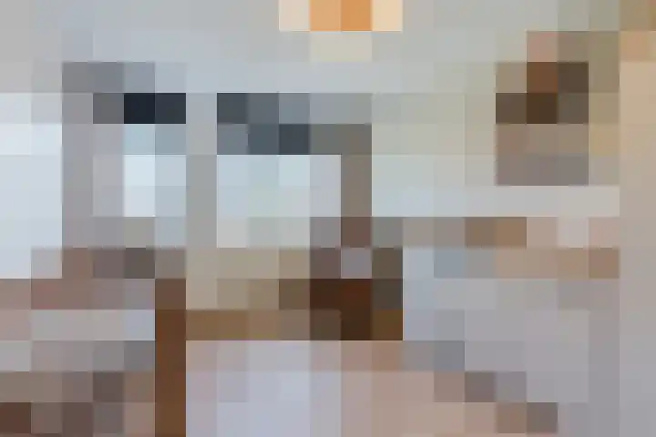 Dalkruid 34 Mierlo thumbnail 14