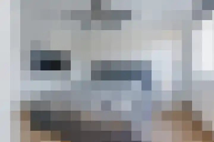 Dalkruid 34 Mierlo thumbnail 15