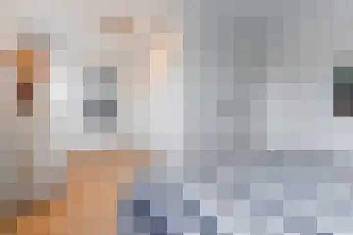 Dalkruid 34 Mierlo thumbnail 16