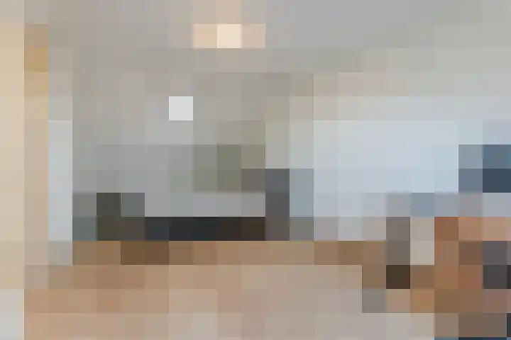 Dalkruid 34 Mierlo thumbnail 19