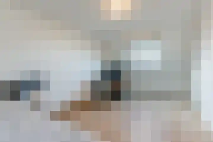 Dalkruid 34 Mierlo thumbnail 20