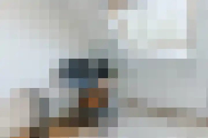 Dalkruid 34 Mierlo thumbnail 21