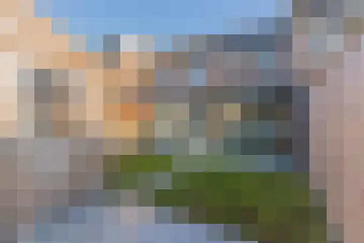 Dalkruid 34 Mierlo thumbnail 22
