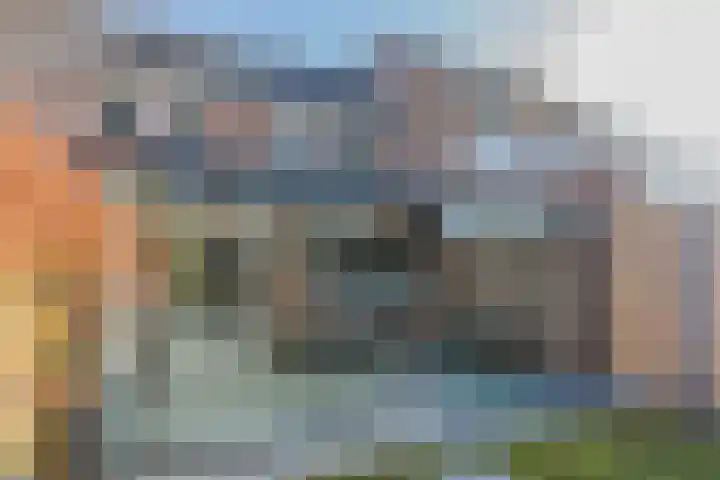 Dalkruid 34 Mierlo thumbnail 23