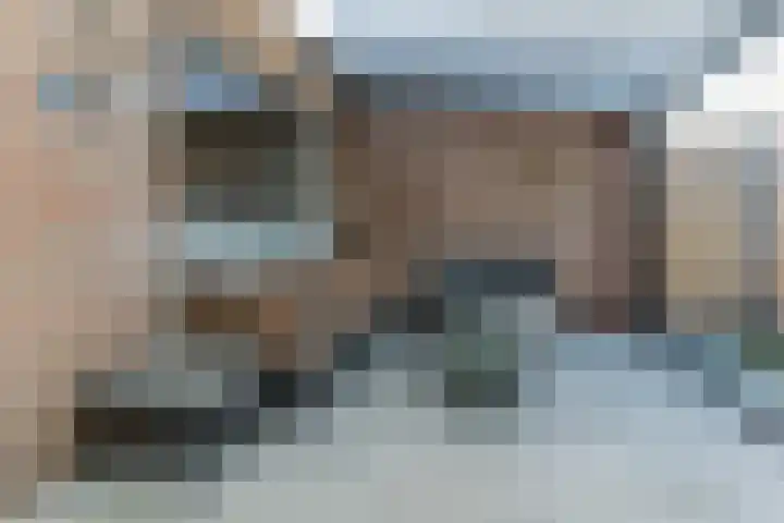 Dalkruid 34 Mierlo thumbnail 24
