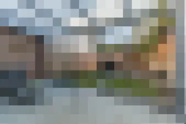 Dalkruid 34 Mierlo thumbnail 25