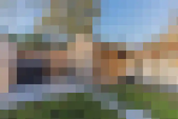 Dalkruid 34 Mierlo thumbnail 26