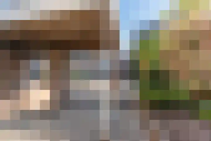 Dalkruid 34 Mierlo thumbnail 27