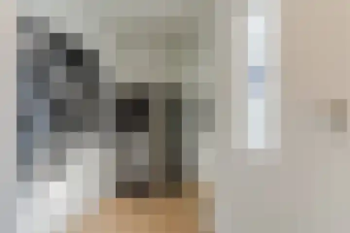 Dalkruid 34 Mierlo thumbnail 4