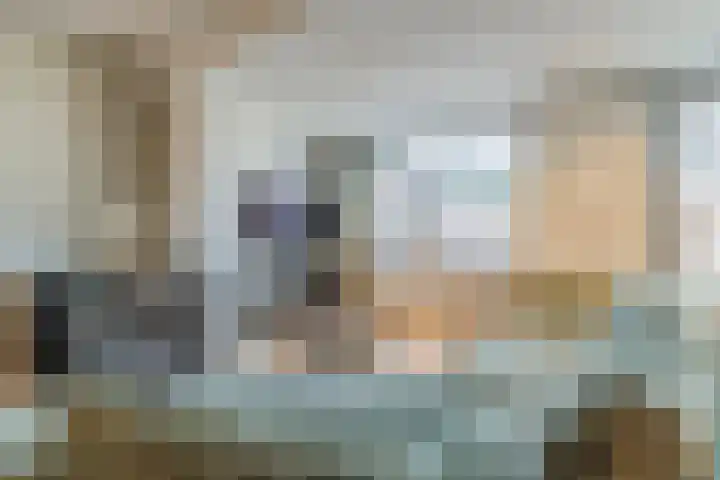Dalkruid 34 Mierlo thumbnail 6