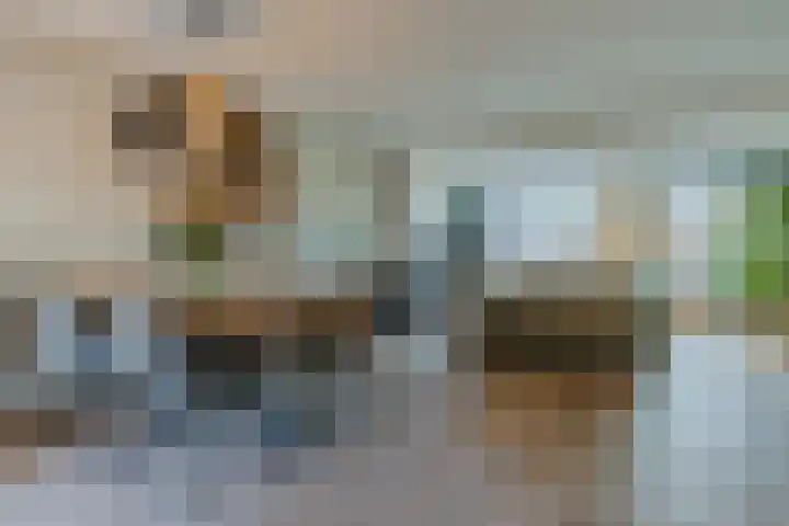 Dalkruid 34 Mierlo thumbnail 7