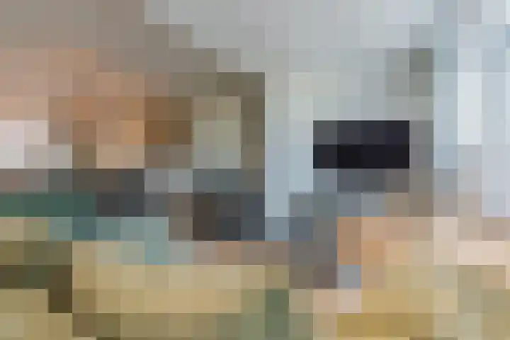 Dalkruid 34 Mierlo thumbnail 8