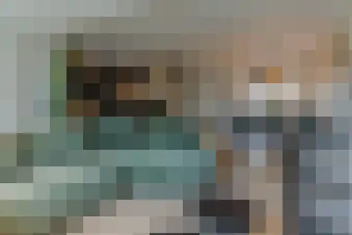Dalkruid 34 Mierlo thumbnail 9