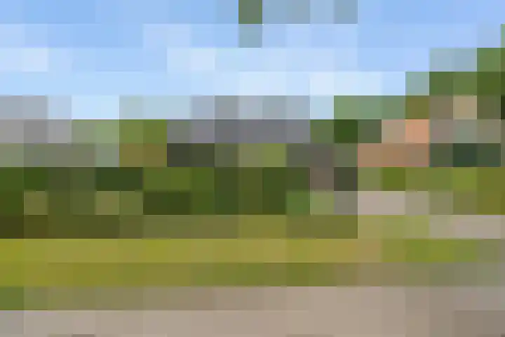Dalkruid 4 Heerenveen thumbnail 11