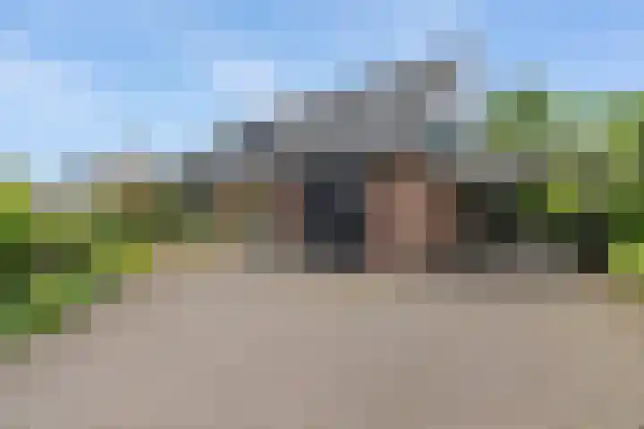 Dalkruid 4 Heerenveen thumbnail 12
