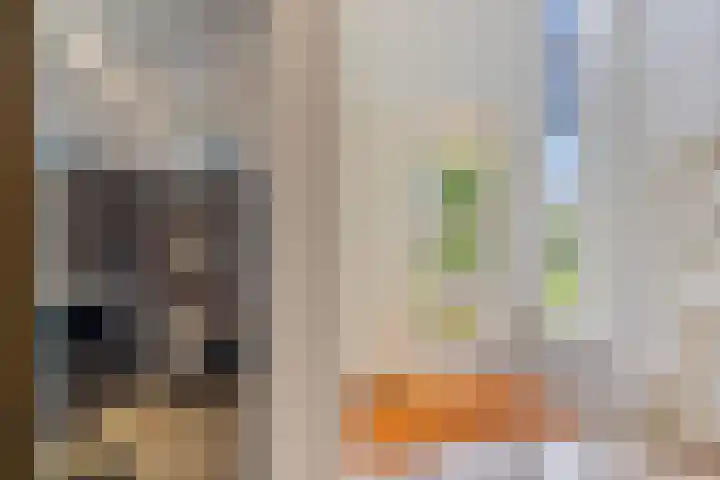 Dalkruid 4 Heerenveen thumbnail 14