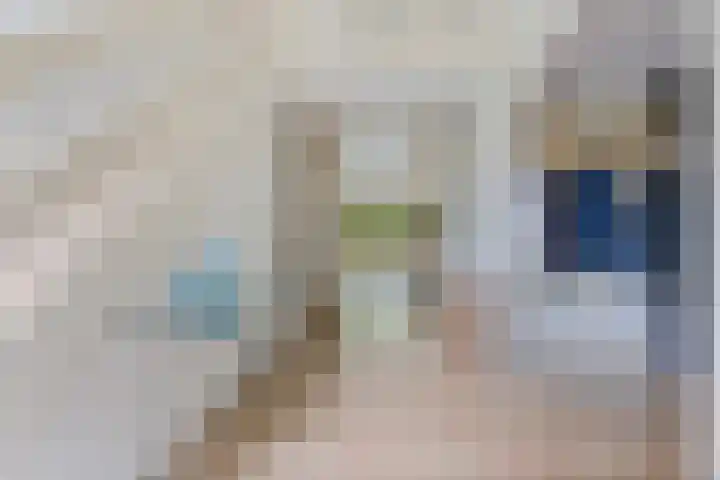 Dalkruid 4 Heerenveen thumbnail 15
