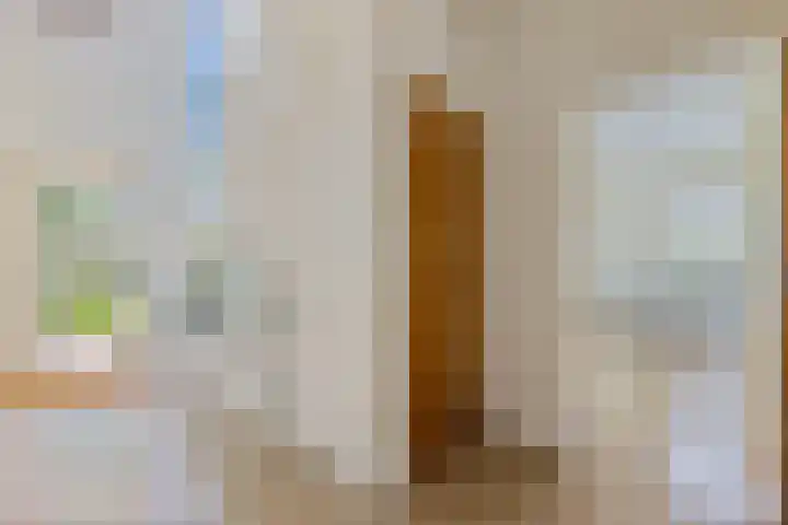 Dalkruid 4 Heerenveen thumbnail 17