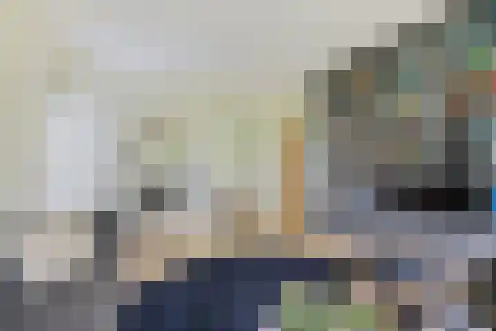 Dalkruid 4 Heerenveen thumbnail 19