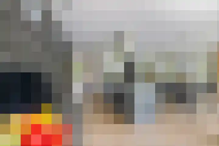 Dalkruid 4 Heerenveen thumbnail 22