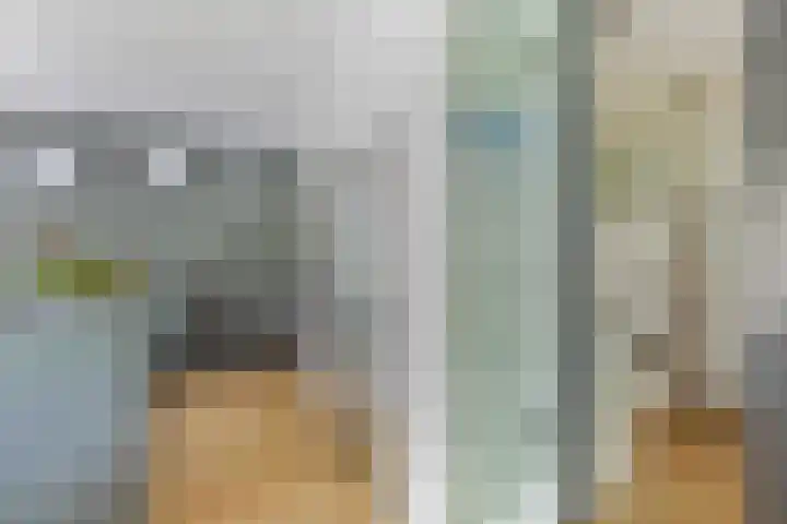 Dalkruid 4 Heerenveen thumbnail 24