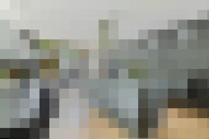 Dalkruid 4 Heerenveen thumbnail 25