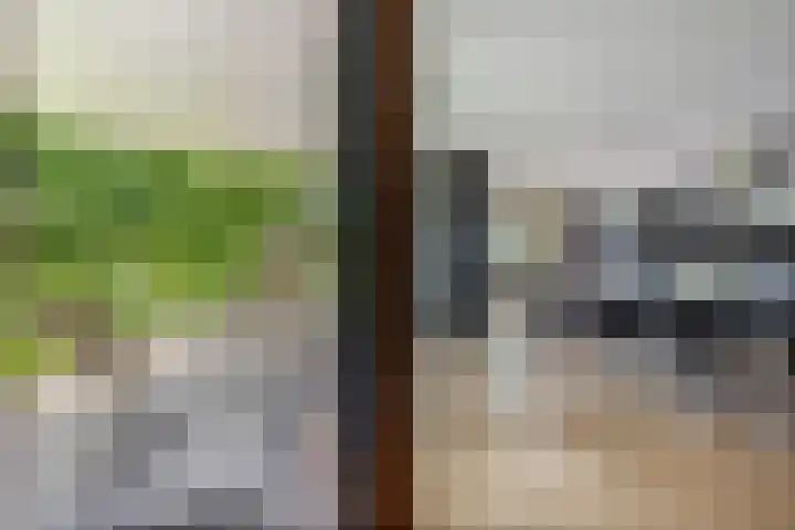 Dalkruid 4 Heerenveen thumbnail 30