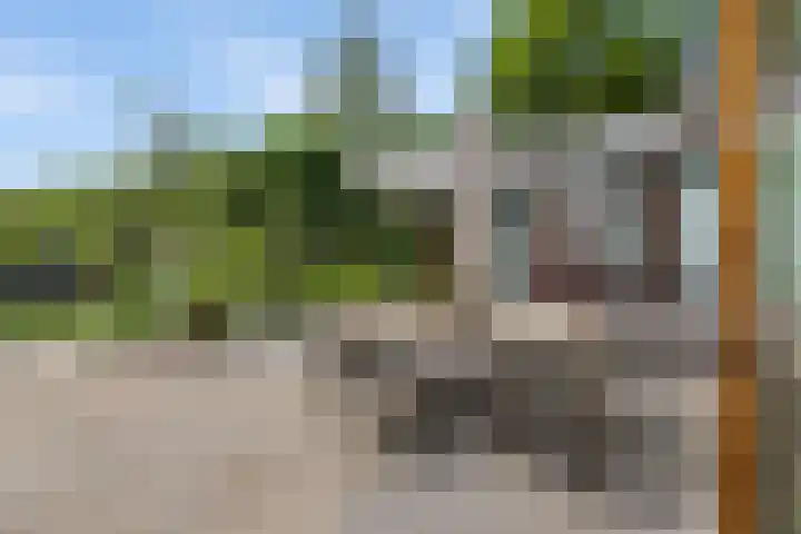 Dalkruid 4 Heerenveen thumbnail 31