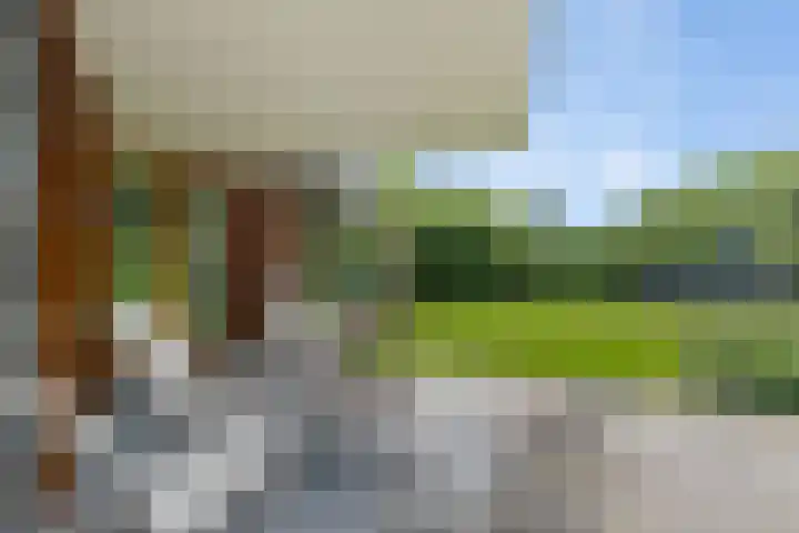 Dalkruid 4 Heerenveen thumbnail 32