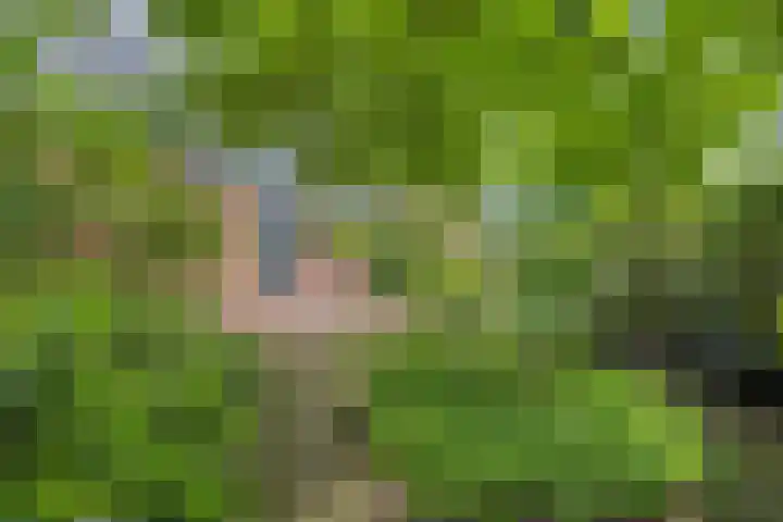 Dalkruid 4 Heerenveen thumbnail 33