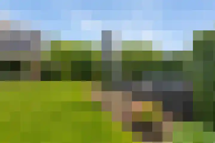Dalkruid 4 Heerenveen thumbnail 34