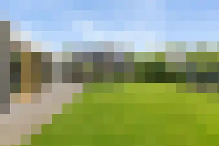 Dalkruid 4 Heerenveen thumbnail 35