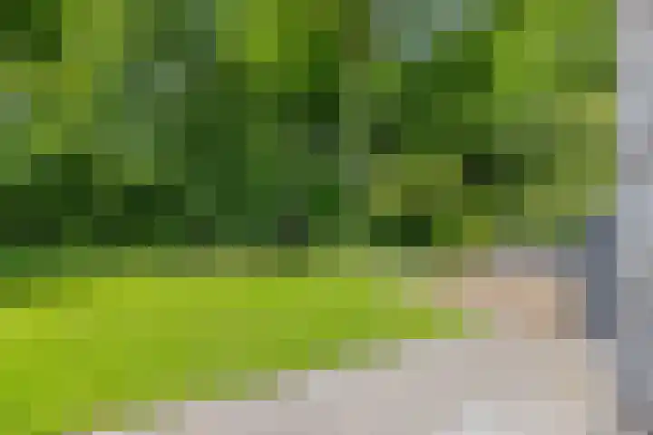 Dalkruid 4 Heerenveen thumbnail 36
